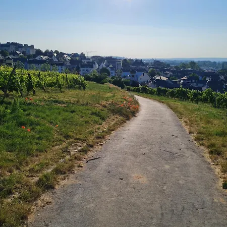 Am Markt Ruedesheim am Rhein